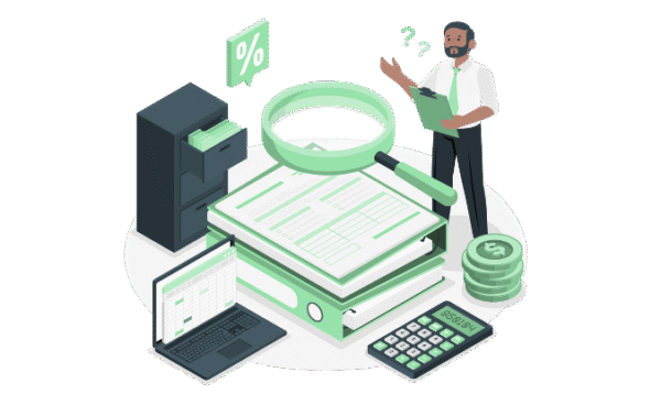 Data Audit